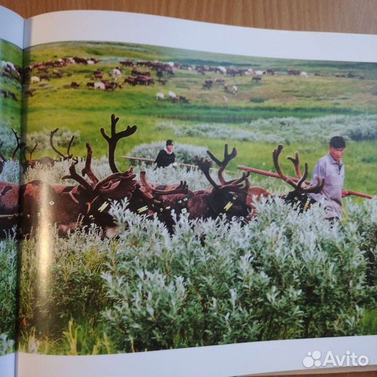 Книга - фотоальбом о севере