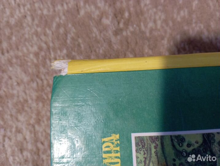 Бронзовая книга лучших сказок мира