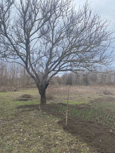 Дом 33 м² на участке 35 сот.