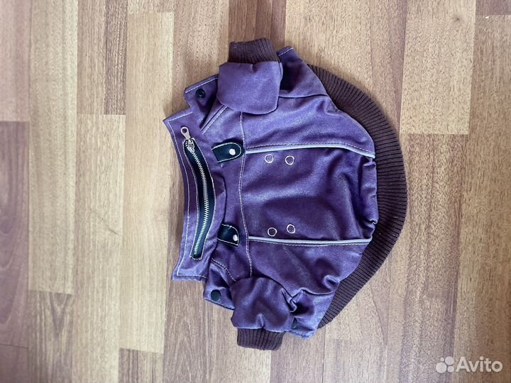 Вещи для маленьких собак