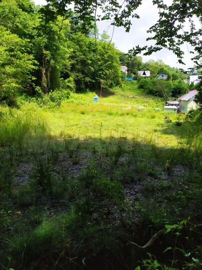 Участок 33,5 сот. (СНТ, ДНП)