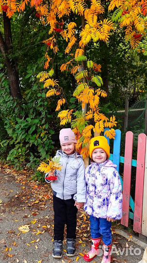 Частный детский сад Тридевятое Царство