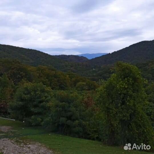 Экскурсии на хаммере Джиппинг Сочи Лазаревское