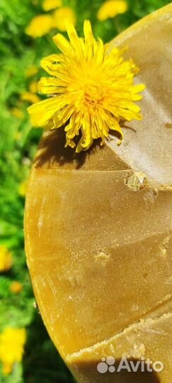 Воск пчелиный