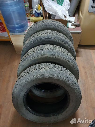 Gislaved Nord Frost 5 175/70 R14