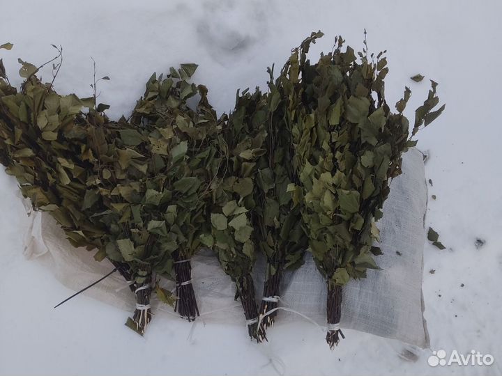 Веники березовые