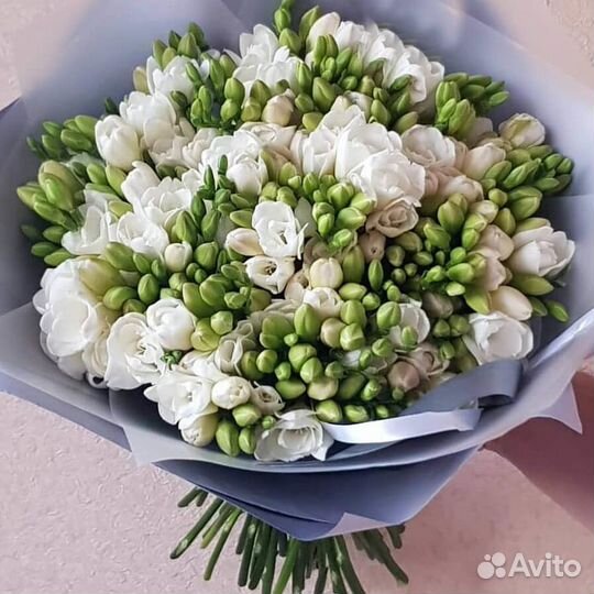 Букет из белых фрезий 95 шт