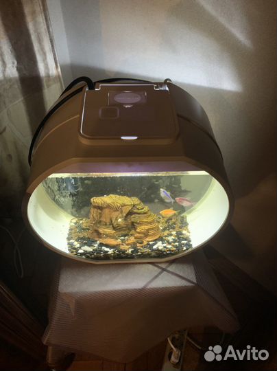 Аквариум