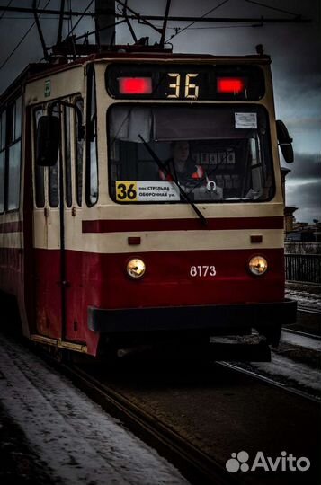 Начинающий фотограф