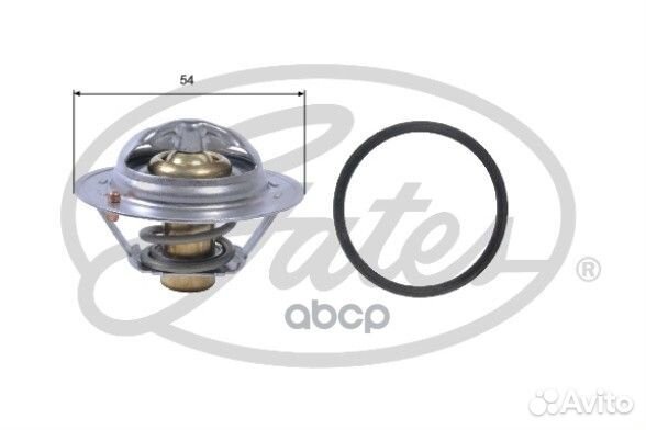 Термостат, охлаждающая жидкость nsii0000664938