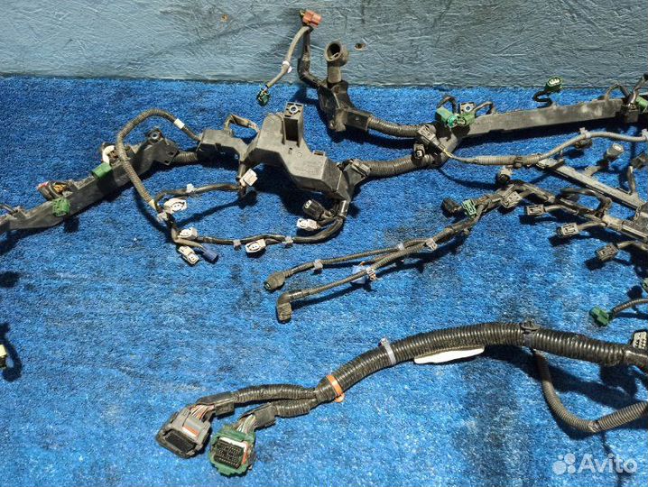 Проводка двигателя Honda Crosstour