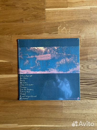 Винил Turnover – Peripheral Vision LP