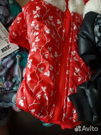 Одежда для маленьких собак