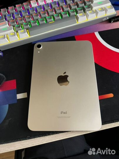 iPad mini 6