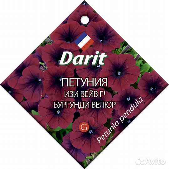 Петуния Изи Вейв Бургунди велюр F1, семена Дарит 5