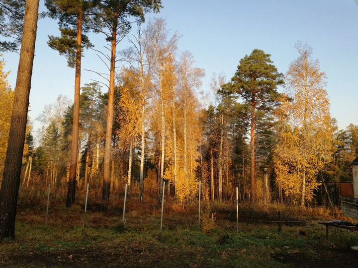 Дача 56 м² на участке 9 сот.