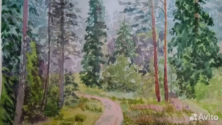 Картина акварелью В хвойном лесу