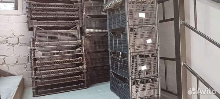 Пластиковые ящики бу