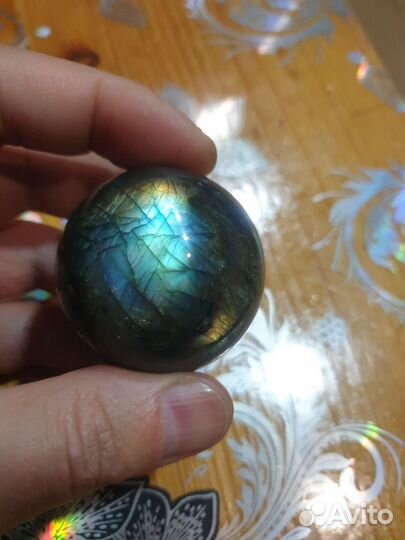 Лабрадор природный