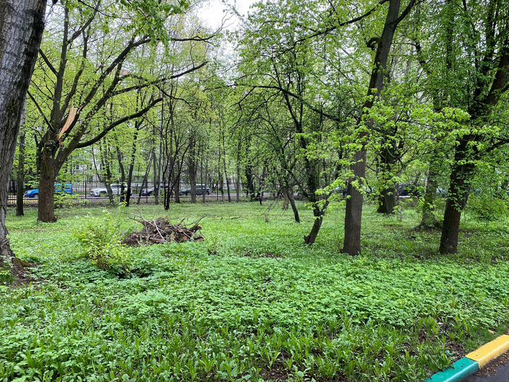 Участок 98,08 га (ИЖС)