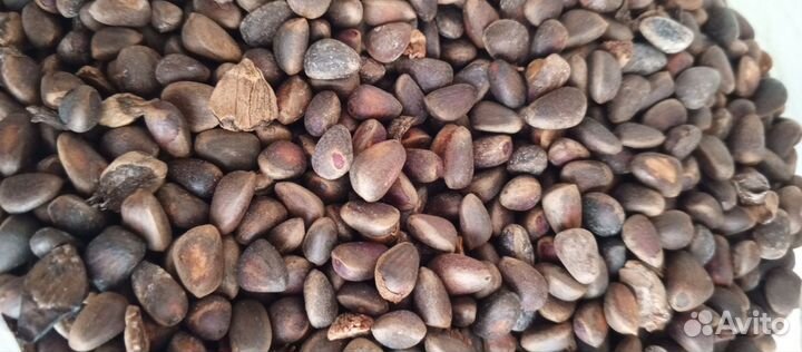 Кедровый орех