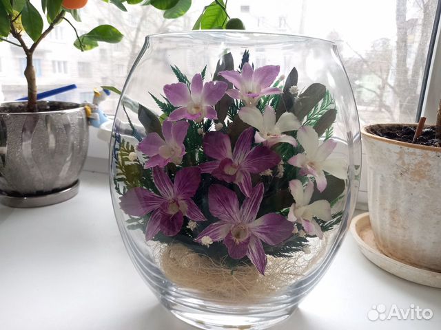 Живые стабилизированные цветы в вакууме