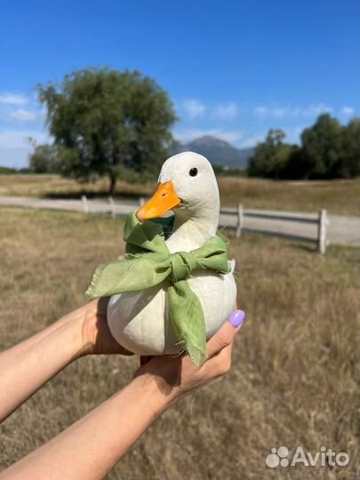 Мини кряква