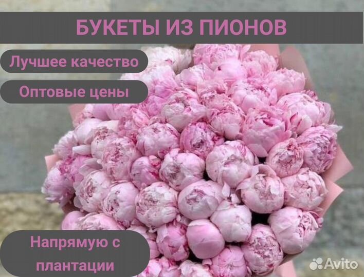 Букеты из пионов. Цветы и пионы оптом с доставкой