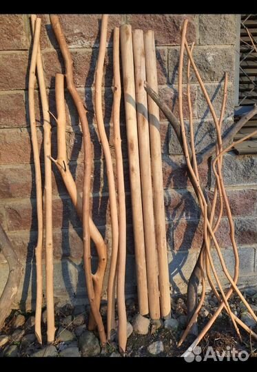 Стволы ветки веточки коряги коряжки палки корелиус