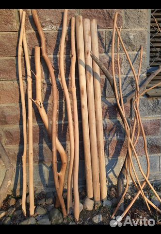 Стволы ветки веточки коряги коряжки палки корелиус