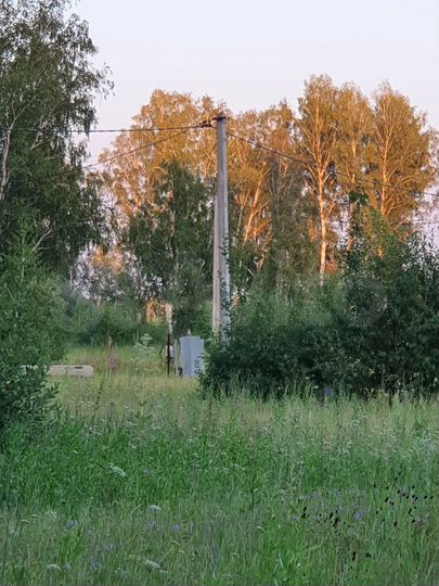 Участок 12 сот. (ИЖС)