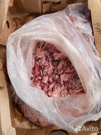 Обрезь куриная