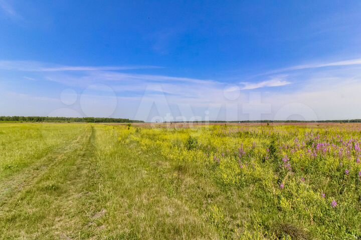 Участок 15 сот. (ИЖС)