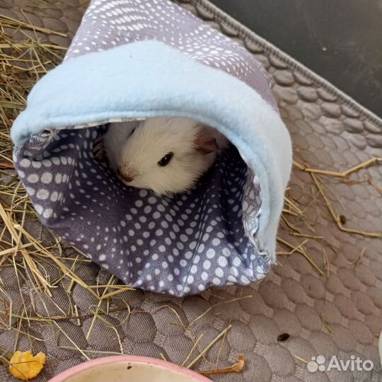 Гамак для грызунов