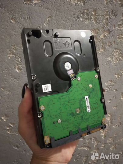 Жесткий диск