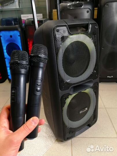 Портативная колонка eltronic 1000W - 2 мик-фона