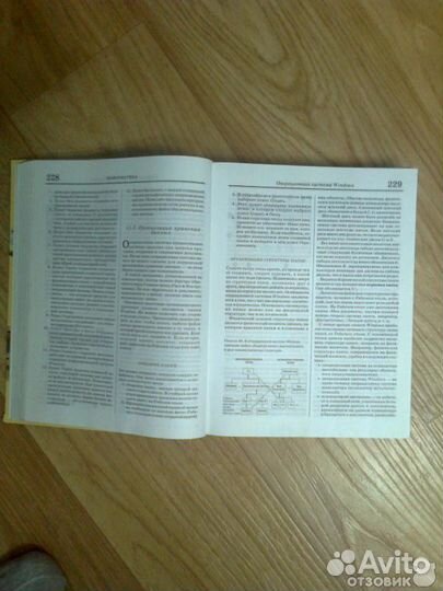 Большая школьная энциклопедия