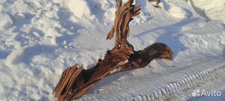 Коряги для аквариума