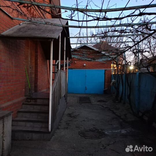 Передержка собак (без клеток)