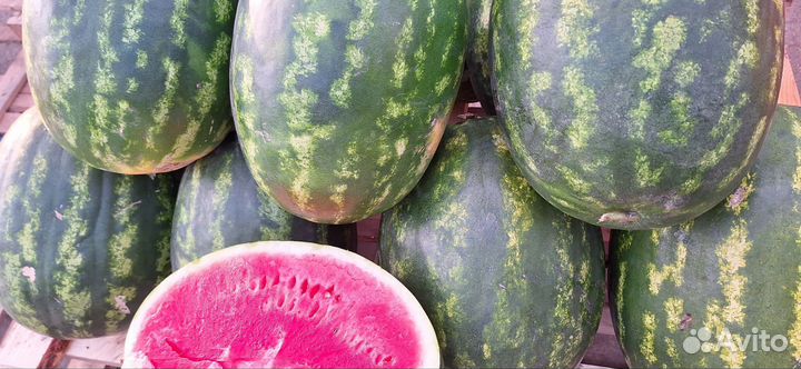 Арбуз