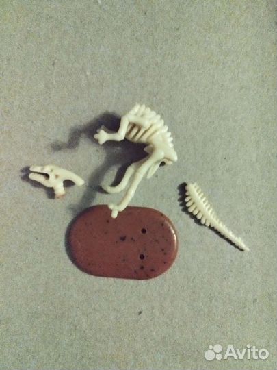 Киндер чупа чупс скелет динозавра