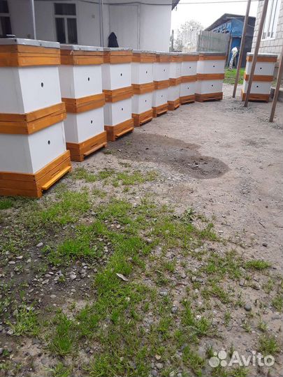 Улей для пчел