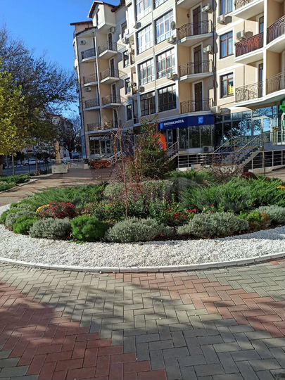 1-к. квартира, 55 м², 1/5 эт.