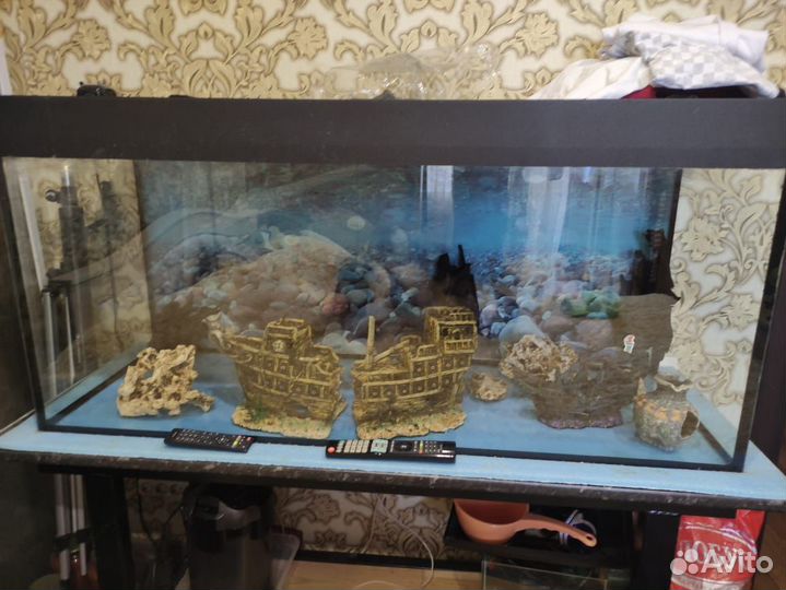 Аквариум