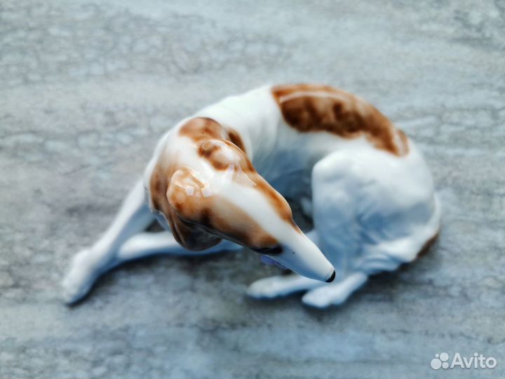 Русская борзая лфз