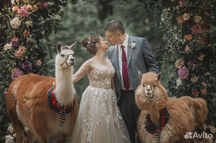 Свадебная площадка, свадьба под ключ, организация