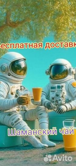 Чай пуэр « Космос шаманов » шмн12307