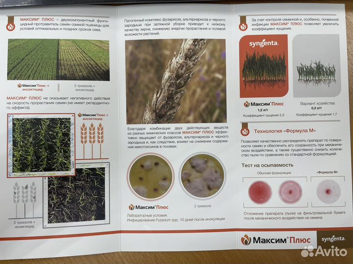 Максим Плюс протравитель семян Франция