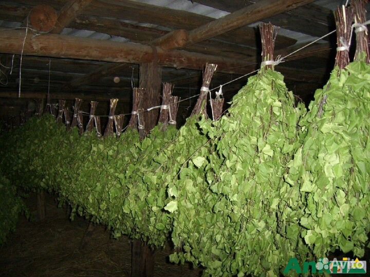 Веники берёзовые, для бани