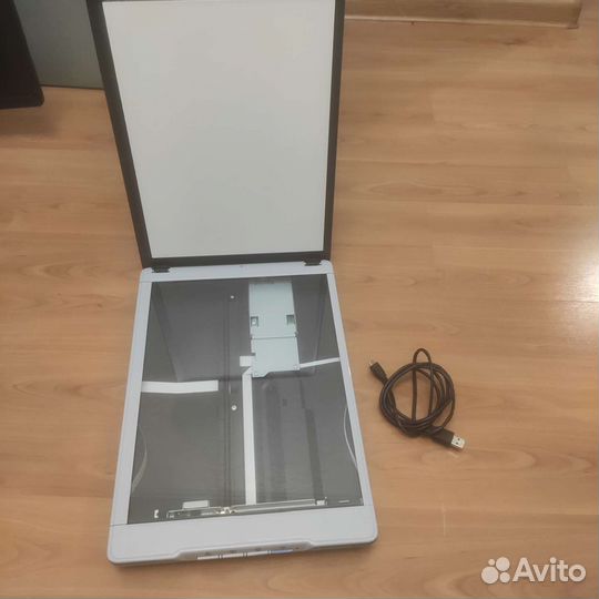Сканер epson v 19